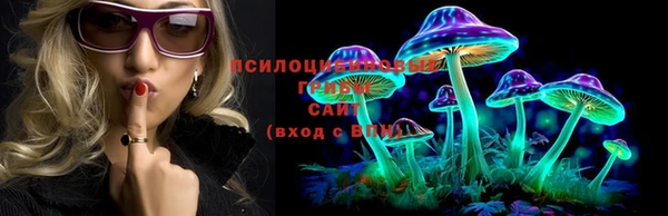 синтетический гашиш Алексеевка