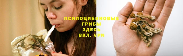синтетический гашиш Алексеевка