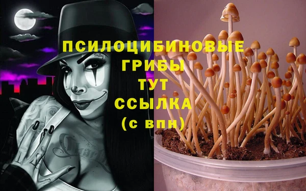 амф Алексин