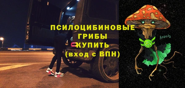 амф Алексин