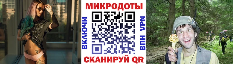 где купить Анжеро-Судженск Галлюциногенные грибы Psilocybine cubensis